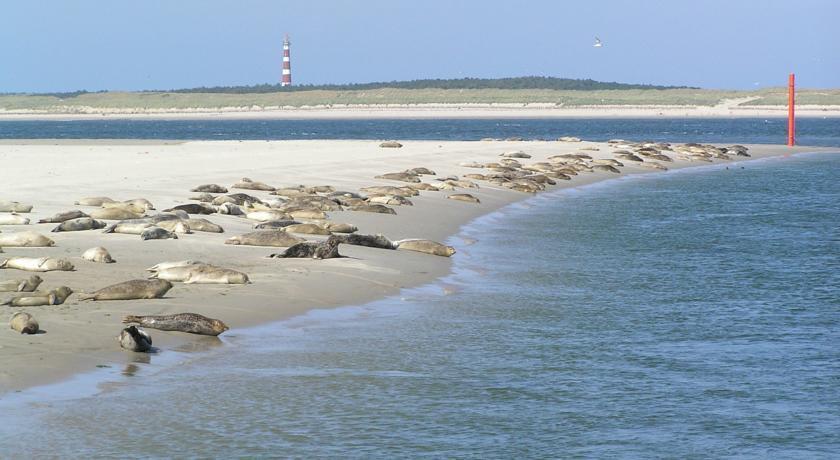 Zeeduin, Met Zonnig Terras - Volledige Keuken- Resort Amelander Kaap, Incl Verwarmd Hotel-Zwembad Nabij Dorp, Duinen En Strand Hollum  Eksteriør bilde