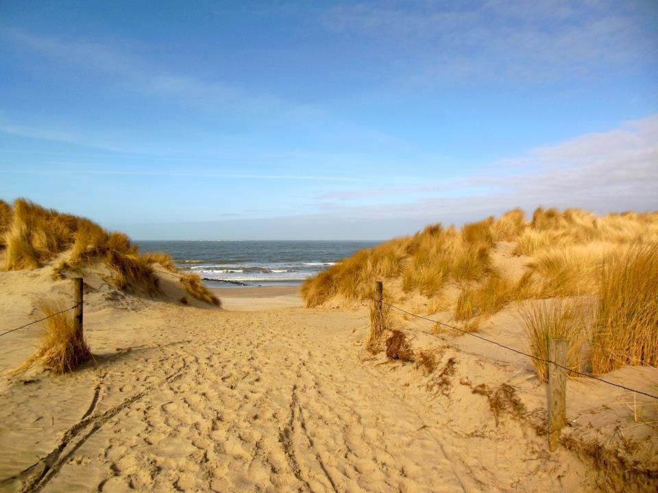 Zeeduin, Met Zonnig Terras - Volledige Keuken- Resort Amelander Kaap, Incl Verwarmd Hotel-Zwembad Nabij Dorp, Duinen En Strand Hollum  Eksteriør bilde